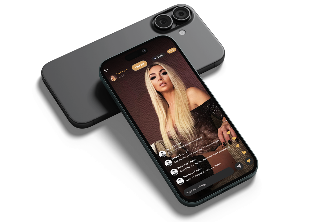 Mockup_HP_Stream_01_Website